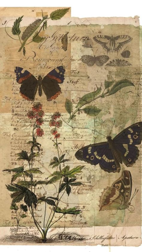 Butterfly Collage, Visuell Identitet, Butterflies And Flowers, Foto Tips, Picture Collage Wall, Poster Minimalist, Vintage Poster Art, Print Collage, Art Collage Wall