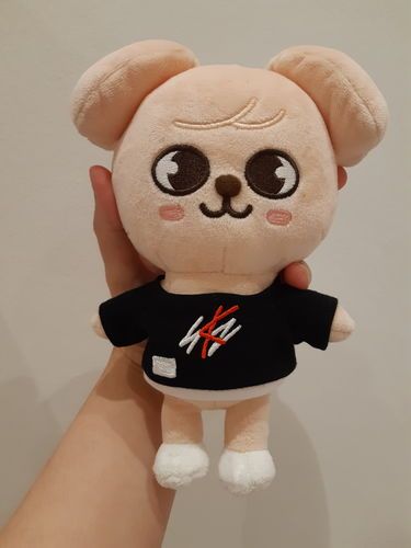 Puppym Skzoo Plush, Puppym Skzoo Seungmin, Skzoo Plush, I Love You Puppy, Kids Zoo, Bear Costume, Truck Yeah, 19th Birthday, Skz In Cute