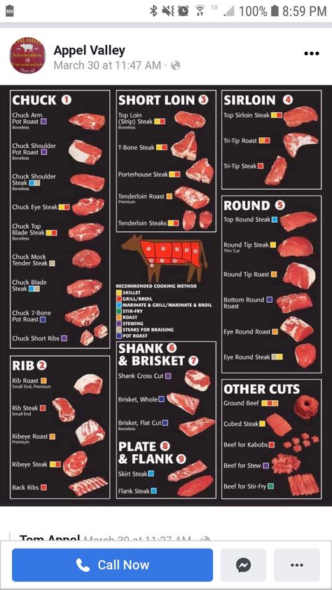 Beef Farming