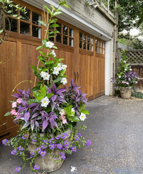 Container Garden Recipes, Front Porch Flowers, Summer Planter, Patio Flowers, Porch Flowers, Container Garden Design, Potted Plants Outdoor, Container Gardening Flowers, Flower Pots Outdoor