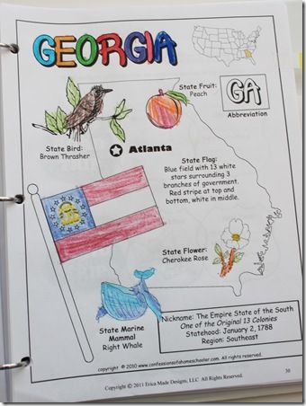 A week-long study about Georgia States Worksheets, Georgia Regions, Curriculum Preschool, Third Grade Social Studies, Us Geography, Georgia History, Georgia Map, Social Studies Unit, 13 Colonies