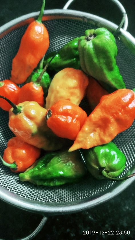 Bhoot Jolokia(Ghost Pepper) Bhut Jolokia, Ghost Pepper, Ghost Peppers, Chutney, Pickles, Dip, Ghost, Stuffed Peppers, Quick Saves