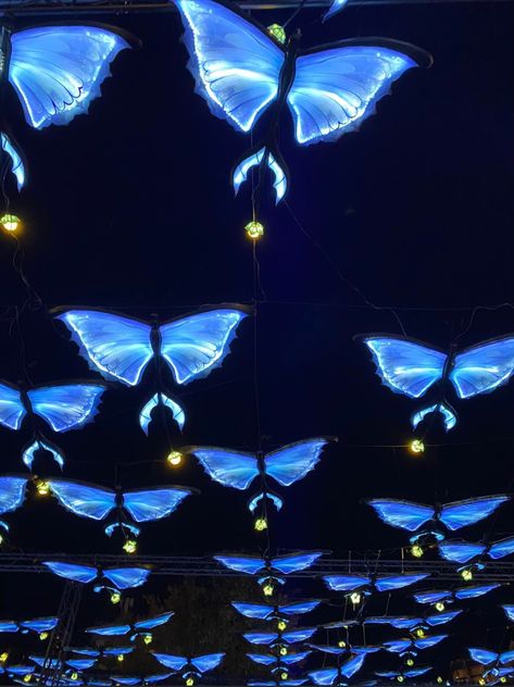 Butterfly’s Glow Eindhoven, Stages Of A Butterfly, Sky House, Lights Aesthetic, Butterfly Lighting, Butterfly Blue, Neon Party, Butterfly Wing, Flower Lights