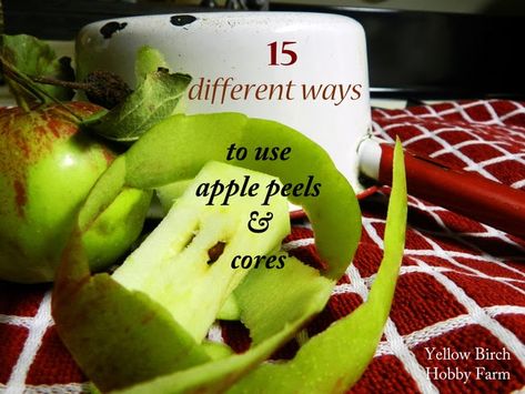 15 Ways to Use Apple Peels & Cores Apple Peel Recipe, Apple Peels And Cores, Apple Butter Uses, Canned Apple Pie, Apple Pie Filling Recipe, Apple Juice Recipe, Recipe Using Apples, Leftover Apples, Apple Pie Filling Recipes