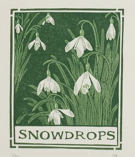 Snow Drops Flowers, Signs Of Spring, New Growth, Linocut Prints, Botanical Illustration, Pretty Art, Linocut, Vintage Illustration, Painting Inspiration