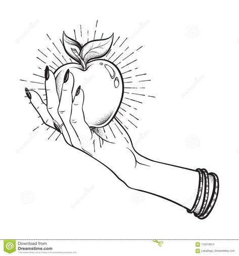 Apple In Female Hand Isolated Hand Drawn Line Art And Dot Work Vector Illustration. Boho Sticker, Print Or Blackwork Flash Tattoo Stock Vector - Illustration of magic, drawing: 119314014 Blackwork Flash, Eve Tattoo, Apple Tattoo, Hand Style, Creative Money Gifts, Hand Lines, Flash Tattoo Designs, Tattoo Project, Desenho Tattoo