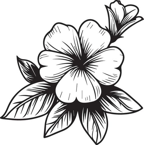 simple flower coloring pages, Coloring pages for adults, hand drawing periwinkle flower sketch art of, blossom vinca flower line art vector illustration, floral garden for beautiful cute easy flower Coloring Pages For Adults Simple, Flower Line Drawing Simple, Flower Coloring Pages For Adults, Flower Outline For Painting, Coloring Pages Flowers Simple, How To Draw Periwinkle Flower, Periwinkle Drawing Flower, Flower Clip Art Black And White, Periwinkle Flowers