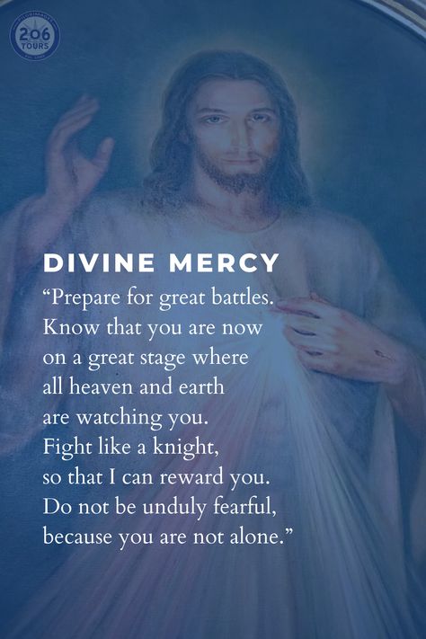 St Maria Faustina, Divine Mercy Quotes, St Faustina Quotes, Divine Mercy Chaplet Prayer, 2024 Prayers, Mercy Quotes, Devine Mercy, Divine Mercy Novena, Divine Mercy Rosary