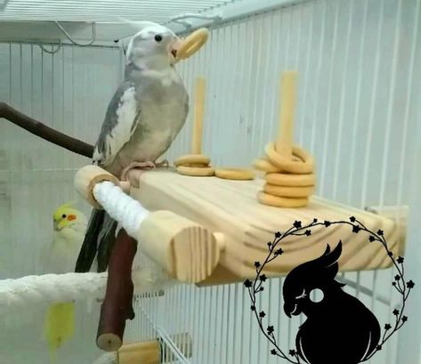 Diy Bird Toys, Large Bird Cages, Diy Birds, Parrot Toys, How To Make Toys, Bird Cages, Bird Toys, Pigeon, Parrot