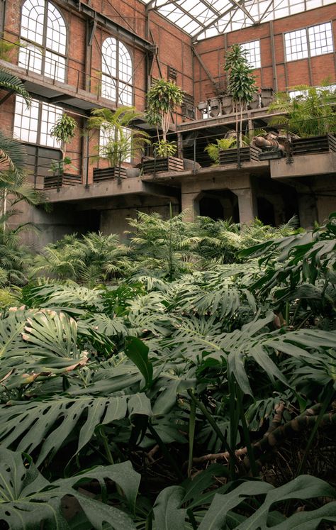 A Hidden Greenhouse Garden in Mexico City Abandoned Factory - Urban Gardens