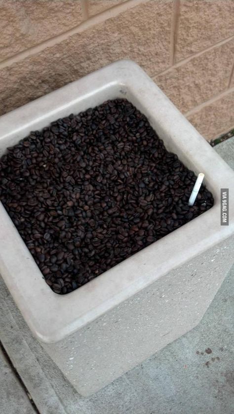 The Dunkin Donuts near me uses coffee beans in their ashtray Diy Ashtray, Ashtray Ideas, Brunch Sign, Coffee House Design, Clever Coffee, Outdoor Ashtray, Uses For Coffee Grounds, Coffee Drawing, Creative Coffee