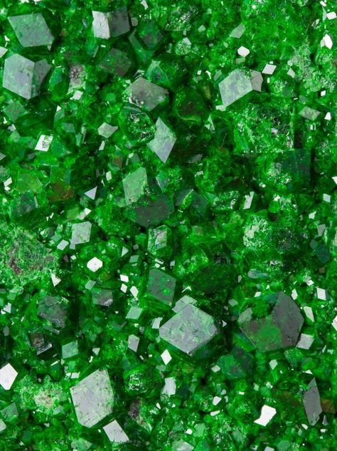 Decent Wallpapers, Dark Green Aesthetic, An Aesthetic, Gems And Minerals, Color Samples, Green Aesthetic, Moss Green, Minerals Crystals, Blue Aesthetic