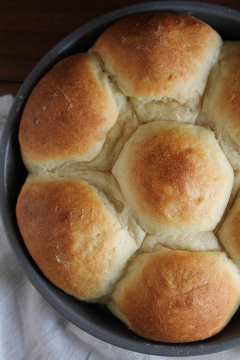 Fluffy No Knead Refrigerator Rolls #BakingTheWorldBetter Refrigerator Rolls, Baking Breads, Fluffy Dinner Rolls, Baked Rolls, Biscuit Rolls, Yeast Rolls, Sweet Rolls, Bread Bun, No Knead