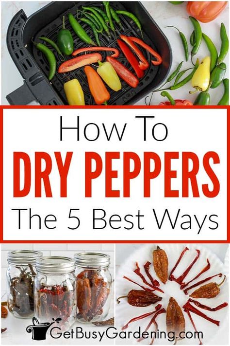 How To Preserve Fresh Hot Peppers, How To Dehydrate Hot Peppers, How To Dehydrate Cayenne Peppers, Drying Cayenne Peppers In Oven, Drying Hot Peppers In The Oven, Ways To Preserve Peppers, Dehydrating Peppers In Oven, How To Dehydrate Chili Peppers, How To Dehydrate Peppers In Air Fryer