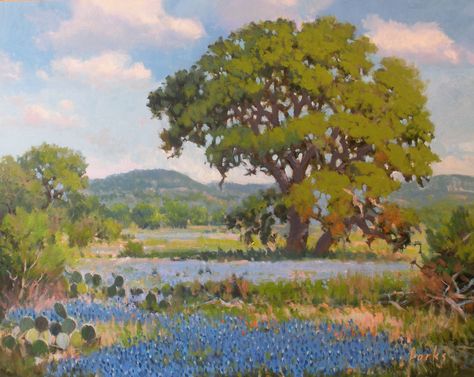 Texas Hill Country | David Forks - Texas Landscape Painter: Hill Country Afternoon Country Landscape Paintings, Texas Hill Country Landscape, Texas Bluebonnets Art, Hill Country Landscape, Texas Landscape, Blue Bonnet, Mediums Of Art, Texas Bluebonnets, Texas Hills