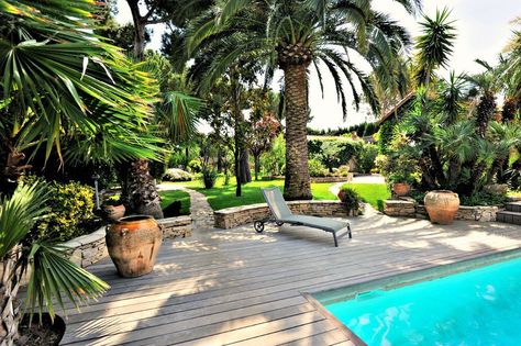 Discover the Best Trees to Plant Around Your Pool Landscaping Around Pool, Arizona Backyard, Landscaping Around House, Small Palm Trees, Pool Landscape Design, Tropical Pool, Backyard Pool Landscaping, Home Landscaping, Landscaping Tips