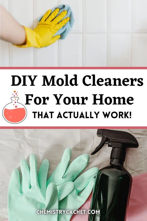 Are you wanting a homemade solution for mold or mildew? We have the best DIY options that actually work based on science. Plus we answer things like does vinegar really kill mold? Peroxide? Baking soda? We have all the answers on Chemistry Cachet Homemade Bathroom Cleaner, Kill Mold, Pumpkin Spray, Vinegar Cleaner, Mildew Remover, Cleaning Mold, Cleaner Recipes, Tea Diy, Natural Cleaners