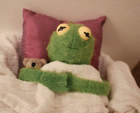 Kermit Memes, Kermit Funny, Kermit The Frog, Playlist Covers, The Frog, Reaction Pics, Frogs, Mood Pics, The Live