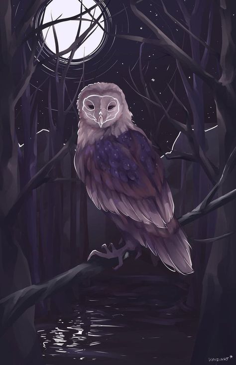 Owl Wallpaper, Mythical Creatures Art, Owl Art, Barn Owl, Creature Design, Creature Art, Dark Fantasy Art, In The Woods, Pretty Art