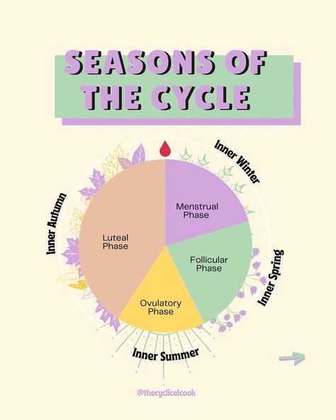 Menstrual Cycle Seasons, Inner Seasons, Cycle Care, Ovulatory Phase, Menstrual Phase, Follicular Phase, Period Cycle, Luteal Phase, Hormonal Health