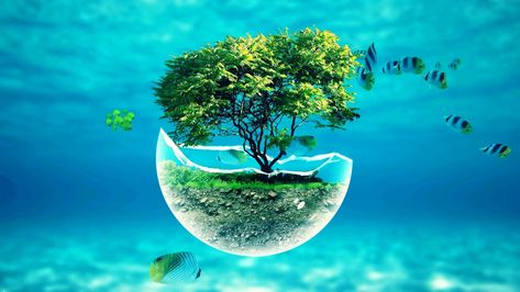 save tree save life inspirational wallpaper [1920x1080] Egypt Movie, Picture Iphone, Cool Desktop Wallpapers, Desktop Wallpaper 1920x1080, Underwater Wallpaper, Underwater Background, 1366x768 Wallpaper Hd, Nature Desktop, Pc Desktop Wallpaper