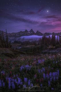 Night Watch | by Ryan Dyar Moody Photos, Haiwan Comel, Night Watch, Images Disney, Nights Watch, Sweet Night, Pretty Landscapes, Phone Stuff, The Night Sky