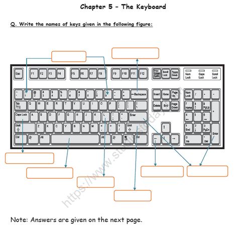 CBSE Class 1 Computer Science The Keyboard Worksheet Practice Worksheet for Computers Keyboard Worksheet For Grade 2, Computer Class Activities, Computer Keyboard Printable, Computer Worksheet For Grade 4, Keyboard Worksheet, Computer Activities For Kids, Oo Words, Worksheets For Class 1, Teaching Computers