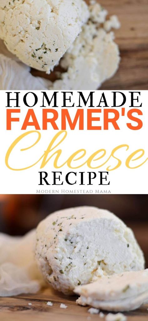 Homemade Farmer's Cheese Recipe - Modern Homestead Mama Farmers Cheese Recipes, Cheese Recipes Homemade, Farmer’s Cheese, Cheese Making Recipes, Goat Milk Recipes, Diy Cheese, Modern Homestead, Farmers Cheese, Homemade Cheese