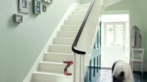 Shades of Green Hallways – Ideas | Dulux Green Paint Hallway Ideas, Hall Stairs And Landing Decor Colour, Dulux Willow Tree Bedrooms, Staircase Wall Paint, Green Hallway Paint, Green Hallways, Sage Green Hallway, Dulux Willow Tree, Dulux Green Paint