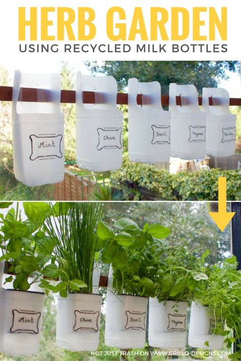 DIY Herb Garden - You might want to save your leftover plastic bottles when you see this awesome kitchen idea! Herbs In Containers, Farming Tips, Vertical Herb Gardens, Plastic Milk Bottles, Grow Herbs, Diy Herb Garden, Vertical Vegetable Garden, Plastic Milk, Herb Garden Design