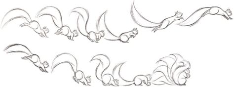 Squirrel run ( lots of great overlapping action) Squirrel Running Drawing, Squirrel Running, Animation Cycle, Squirrel Character, 12 Principles Of Animation, Jump Animation, Animal Animation, Body Draw, Draw Cats