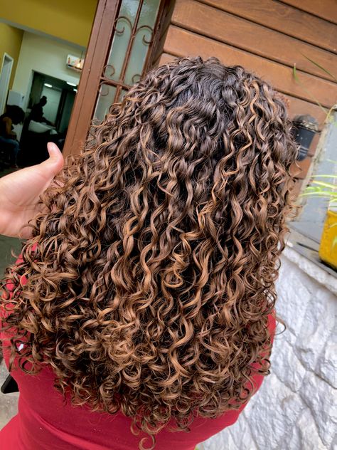 Brown Highlights Curly Hair, Golden Brown Curly Hair, Chocolate Highlights On Dark Hair, Blonde Highlights Curly Hair, Curly Hair Color, Curly Highlights, Dyed Curly Hair, Hairstyle Examples, Highlights Curly Hair