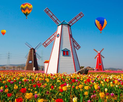 Windmill Images, Hot Air Balloon Rides, Netherlands Travel, Banner Background Images, Jigsaws, Autumn Painting, Photo Set, Nature Aesthetic, Pretty Places