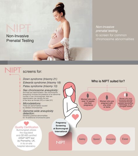 Our infographic explores NIPT screening, a non-invasive test for fetal chromosome abnormalities during pregnancy. Nipt Test, Patau Syndrome, Pregnancy Infographic, Edwards Syndrome, Assisted Reproductive Technology, Informed Consent, Medical School Essentials, Health Screening, Blood Test