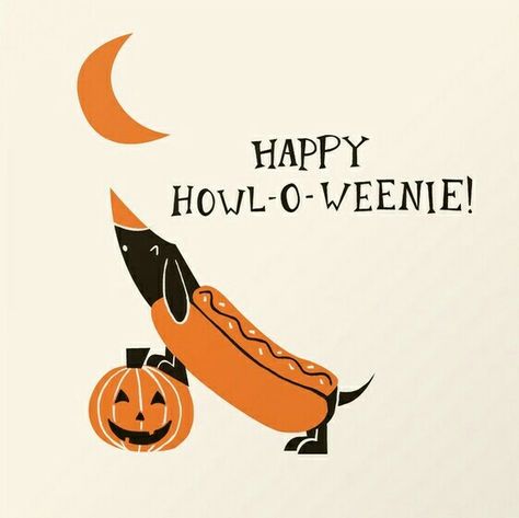 Halloween Weiner Dog, Daschund Illustration, Dachshund Halloween, Dachshund Quotes, Halloween Wallpaper Cute, Weiners, Dachshund Art, Weenie Dogs, Halloween Card