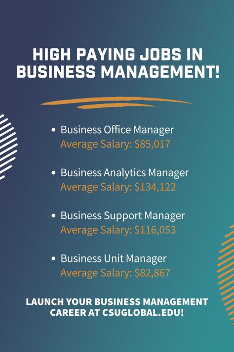 These are just a few of the many roles that you can pursue with a bachelor’s degree in Business Management. In reality, earning your bachelor’s degree will make you eligible for many more job titles in a wide range of different industries! Learn more about our program today! Senior Manager, Job Titles, Business Administration Degree, Organization Skills, High Paying Jobs, Career Tips, Online College, Business Degree, Best Careers