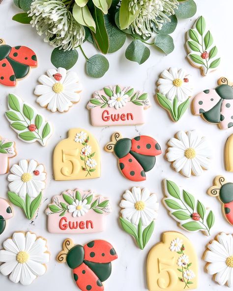 The Bespoke Biscuit Co | Kids Birthday cookies, daisy cookies Here is the entire ladybug set ❤️ I just love royal icing transfers 🐞😍 | Instagram Bug Themed Cookies, Love Bug Cookies, Ladybug Themed Birthday, One Cute Bug Birthday, Love Bug 1st Birthday Party, Love Bug Birthday Party, Love Bug Birthday, Cookies Daisy, Love Bug Baby Shower