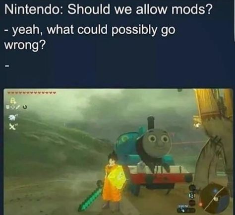 Legend Of Zelda Memes, Zelda Funny, Zelda Botw, Gaming Art, Video Game Memes, Legend Of Zelda Breath, Memes Br, Zelda Breath, Cats Funny