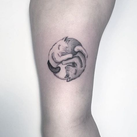 Kitty Cat Yang⚪️⚫️ #YingYang #DCMTattoos Cat Ying Yang Tattoo, Cat Ying Yang, Shamanic Art, Squirrel Tattoo, Animal Line Drawings, Ying Yang Tattoo, Tattoos Cute, Yang Tattoo, M Tattoos