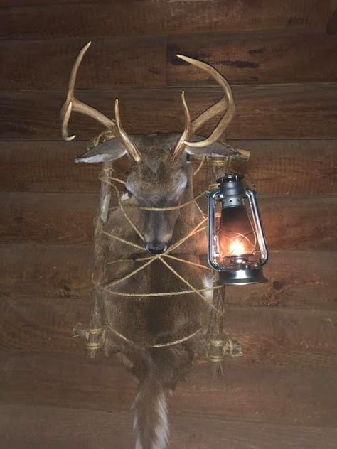 Deer Backpack Mount, Pack Mount Taxidermy, Deer Pack Mounts, Pack Mount Deer, Backpack Deer Mount, Cool Deer Mounts, Skull Mount Ideas, Deer Shoulder Mount, Deer Mount Decor