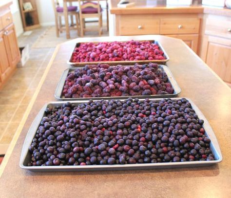 Jam From Frozen Berries, Frozen Fruit Snacks, Fruit Appetizers, Jam Recipes Homemade, Canning Jam, Frozen Raspberries, Frozen Berries, Jam And Jelly, Blueberry Jam