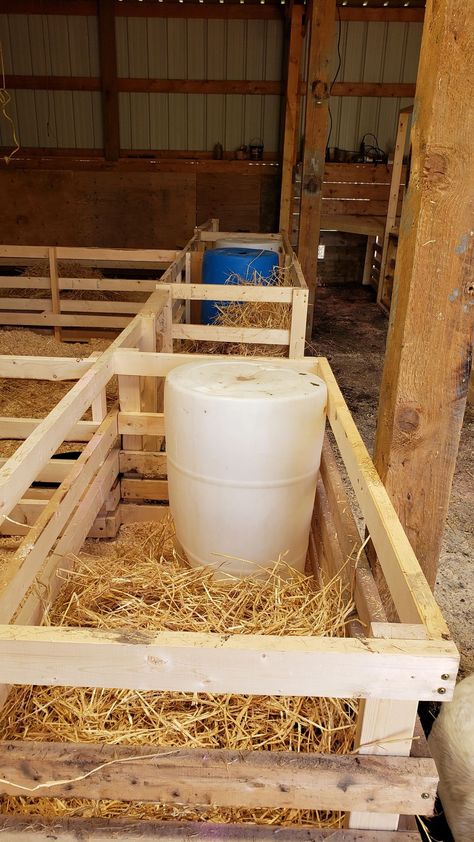 Diy Farrowing Crate Pigs, Farrowing Pen Pigs Diy, Hog Pen Ideas, Farrowing Pen, Wind Farm, Grass Fed Beef, Outdoor Structures, Pen, Canning