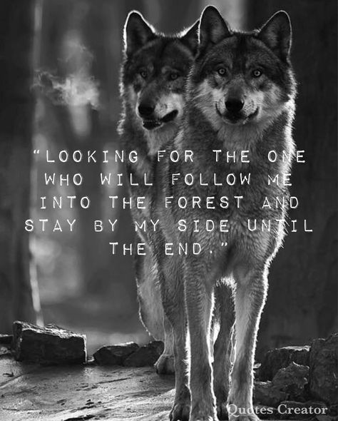 Wolf Quotes Love, Wolf Pack Quotes, Alpha Female Quotes, Wolf Mates, Lone Wolf Quotes, Wolf Conservation Center, Wolf Life, Werewolf Aesthetic, Ending Quotes