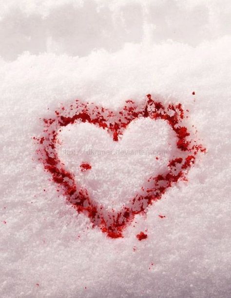 Blood On Snow, Heart Photography, Blood Art, Red Food Coloring, Heart Images, Red Food, Dark Photography, Aesthetic Images, Red Aesthetic