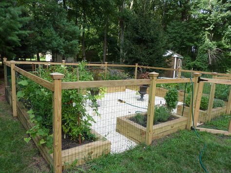 Fence Ideas Garden, Diy Garden Fence Ideas, Garden Enclosure Ideas, Fenced Vegetable Garden, Garden Fence Ideas, Diy Garden Fence, Garden Fence Panels, Vegetable Garden Planning, Chicken Garden