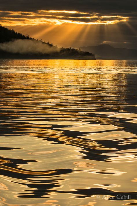 We had many gray and rainy days on our Alaska trip. But at the very end of one such day, the clouds opened just enough to allow golden sun rays to illuminate the water and the sky. I had both my cameras straped around my neck and alternated shooting between them for the few glorious moments of light. I think this is the best shot I took that evening. Sunset On Water, Alaska Trip, Golden Sun, Gold Aesthetic, Liquid Gold, Yellow Aesthetic, Sun Rays, Beautiful Sunset, Rainy Days