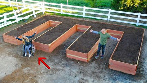 Wheelchair Accessible Garden, Diy Wheelchair, Accessible Garden, Building Raised Garden Beds, Raised Flower Beds, Sensory Garden, School Garden, Wheelchair Accessible, Vegetable Garden Design