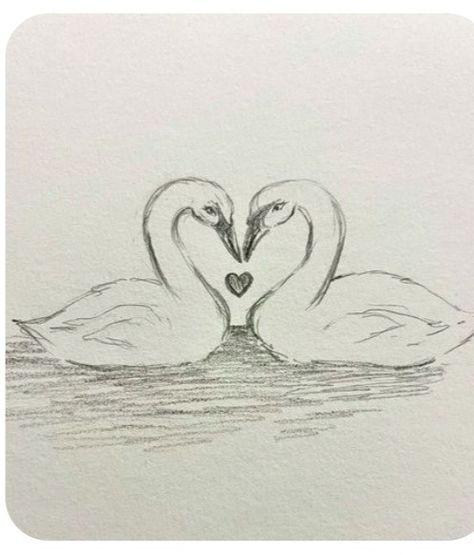 Things To Draw Flowers, Love Drawing Ideas, Swan Heart, Summer Sketches, Pencil Sketch Images, Heart Sketch, Cool Pencil Drawings, Meaningful Drawings, Easy Drawings Sketches