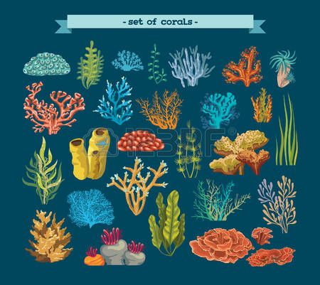 Coral Reef Art, Underwater Cartoon, Ocean Plants, Underwater Plants, Mermaid Photography, Underwater Painting, Sea Plants, Underwater Scene, Coral Art