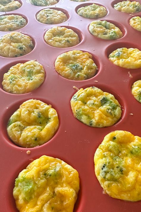 Broccoli Egg Bites - Feeding Tiny Bellies Egg Bites For 10 Month Old, Broccoli Egg Bites Baby, Egg Bites Blw, Brocolli Egg Bites, Egg Bites Toddler, Egg Bites Baby Led Weaning, Blw Egg Bites, Broccoli Cheese Egg Bites, Broccoli Cheddar Egg Bites